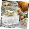 Rutin Acrylic Chicken Feeder with Transparent Box view 3