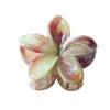 4-Piece Flower Hair Claw Clips for Women and Girls view 1
