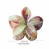4-Piece Flower Hair Claw Clips for Women and Girls view 3