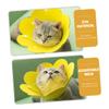 WOONEKY 2-Pack Soft Cat Cone - Leakproof Recovery Collar for Cats view 2