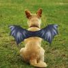 Halloween Pet Costume with Wings view 2