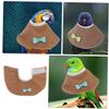 HANABASS Parrot Recovery Collar view 3