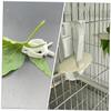 Parliky Birdcage Mounting Clip for Parrots and Birds view 4