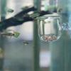 Acrylic Aquatic Plant Cup and Stand for Saltwater and Freshwater Aquariums view 3
