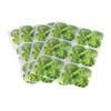 Bioponis Stickers for Hydroponic Seedlings, 24 Pieces view 1