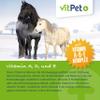 VitPet+ PneumoVit | Horse Cough Support | Mucus-Loosening for Airways & Bronchi view 4