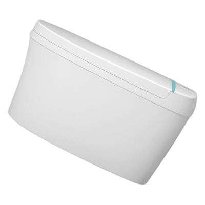 Realistic Portable Children's Potty, PP