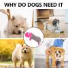 Plush Toy for Puppies - Portable Dog Squeaky Toy view 4