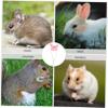 BESPORTBLE Mini Hamster Hat with Adjustable Strap view 4