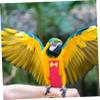 BESPORTBLE Parakeet Diaper Bird Costume Washable view 3