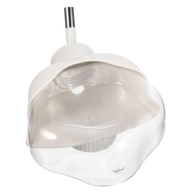 INOOMP Travel Bottle for Pets