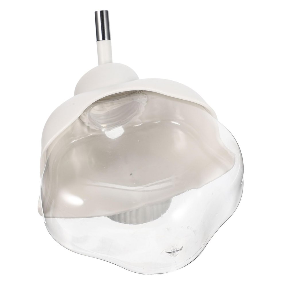 INOOMP Travel Bottle for Pets