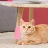 Cat Scratching Post with Corner Massage view 2