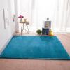 DSSHENGDS Extra-Soft 2 cm Coral Velvet Area Rug, 120 × 180 cm view 1