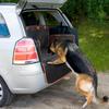 AUJAN Waterproof Trunk Protector for Dogs, for Peugeot 5008 II (Phase I) 7-Seat 2016-2020 view 4