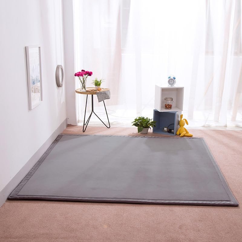 DSSHENGDS Extra-Soft Thick Coral Velvet Rug, Large Crawling Mat, Non-Slip, 2 cm, 200 x 320 cm
