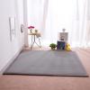 DSSHENGDS Extra-Soft Thick Coral Velvet Rug, Large Crawling Mat, Non-Slip, 2 cm, 200 x 320 cm view 1