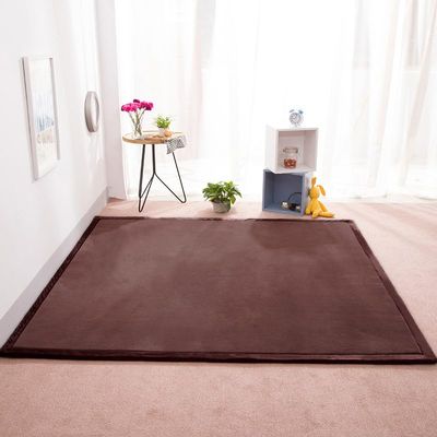 DSSHENGDS Extra-Soft 2 cm Coral Velvet Area Rug, 180 x 250 cm