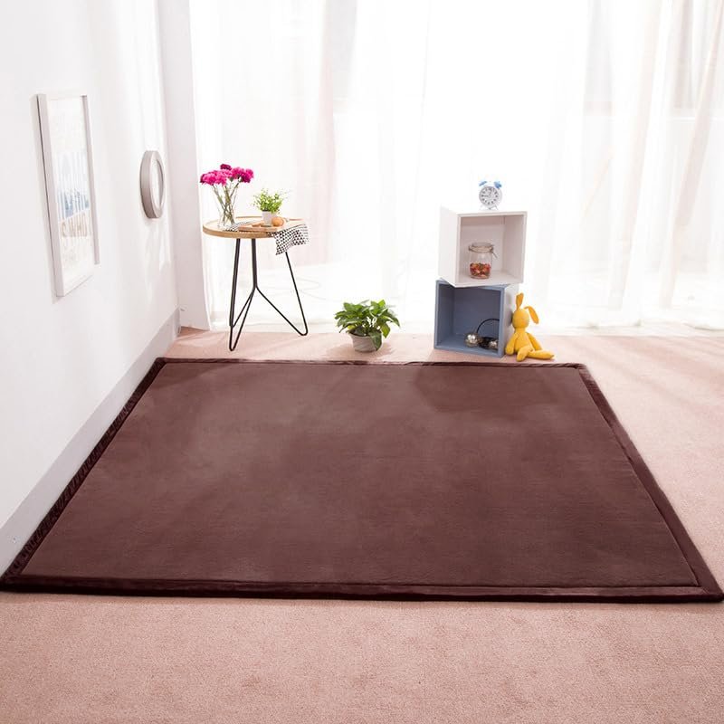 DSSHENGDS Extra-Soft 2 cm Coral Velvet Area Rug, 180 x 250 cm