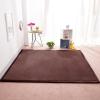 DSSHENGDS Extra-Soft 2 cm Coral Velvet Area Rug, 180 x 250 cm view 1