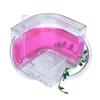 Ant Farm Observation Set with Translucent Gel view 1