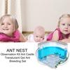 Ant Farm Observation Set with Translucent Gel view 2