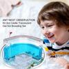 Ant Farm Observation Set with Translucent Gel view 4