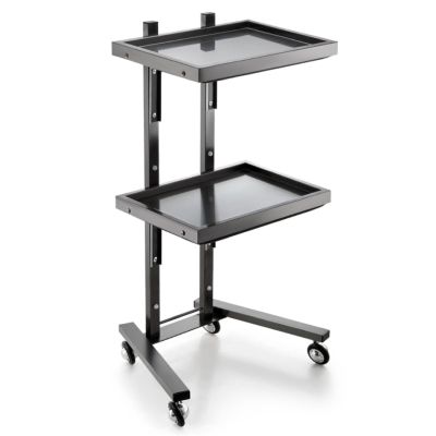 JKAVPPT Folding Salon Trolley with Wheels, Stainless Steel (B)