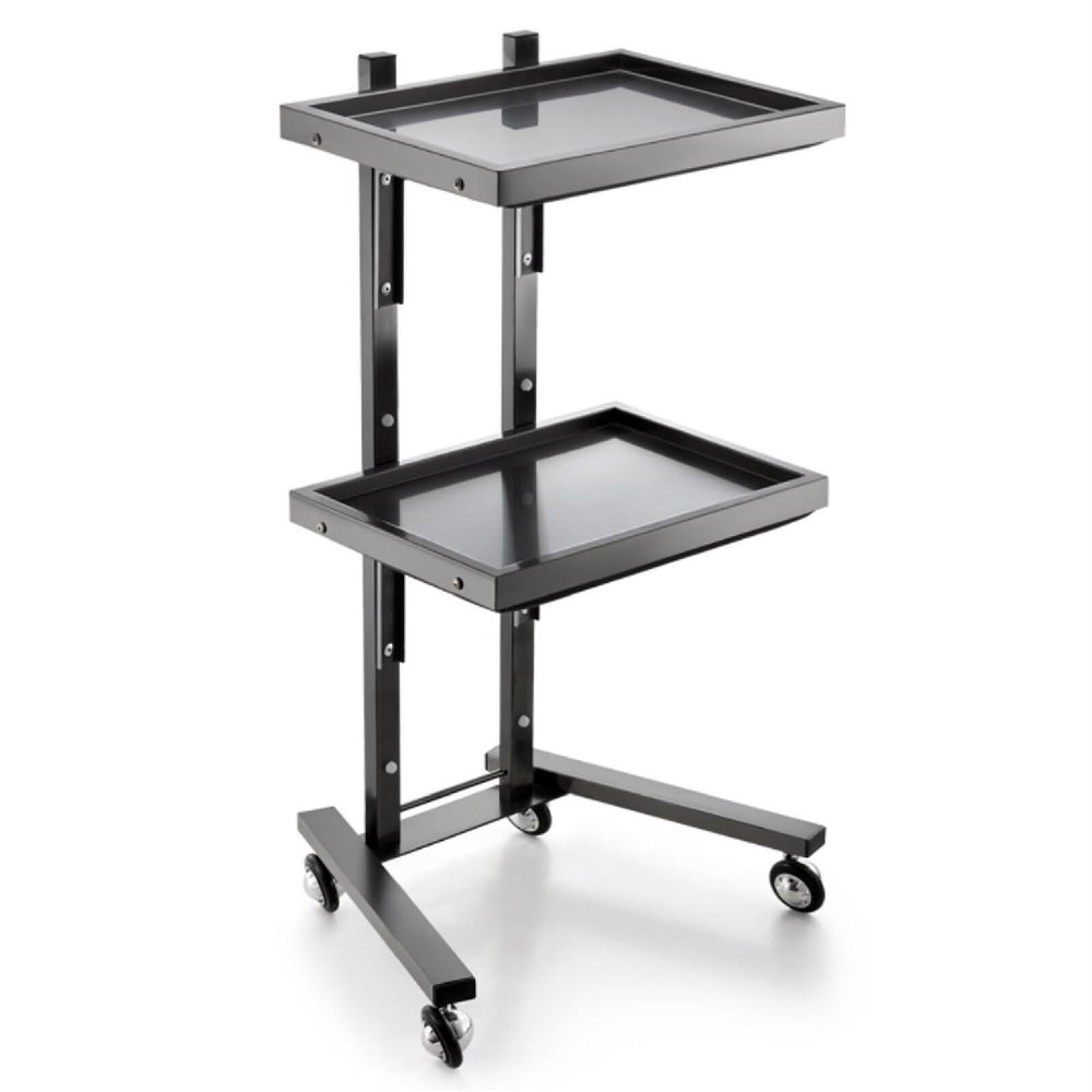 JKAVPPT Folding Salon Trolley with Wheels, Stainless Steel (B)