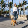 Dokeno 2-Pack Dog Poop Bags with Clip Holder view 4