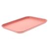 Hohopeti Water Bowl for Reptiles and Turtles view 1