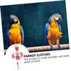 BELLIFFY Parrot Clothing with Diaper view 4