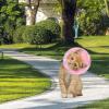 Cat Cone | Protective Cat Collar | Recovery Collar view 3