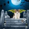 Dragon Dog Halloween Costume view 3