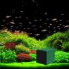 Reusable Water Trough Cleaning Cube for Aquariums view 2