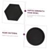 Parliky Safe Feeding Tool for Reptiles - 2-Pack view 3