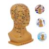 Medical Head Acupuncture Point Model, 20 cm, PVC, for Teaching view 3