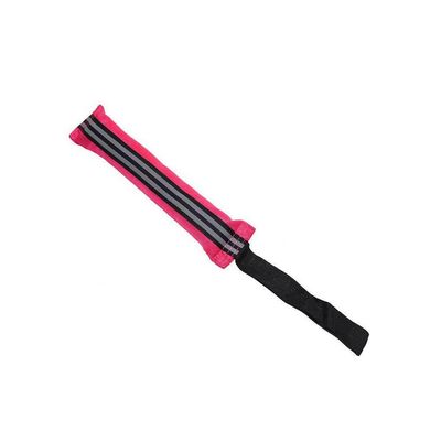 siduytin Interactive Training Stick Dog Toy