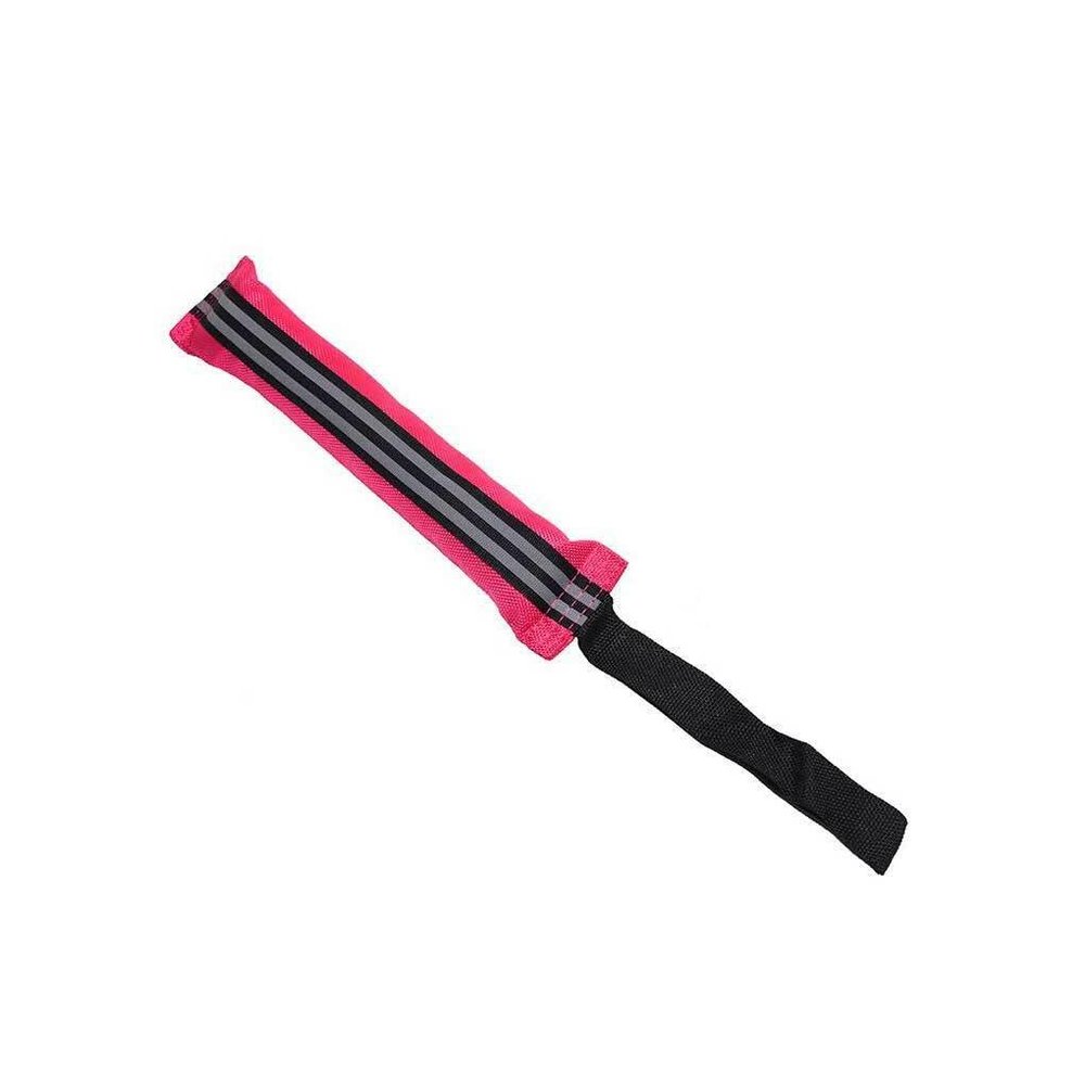 siduytin Interactive Training Stick Dog Toy