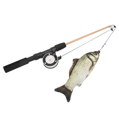 Cat Fishing Rod Toy