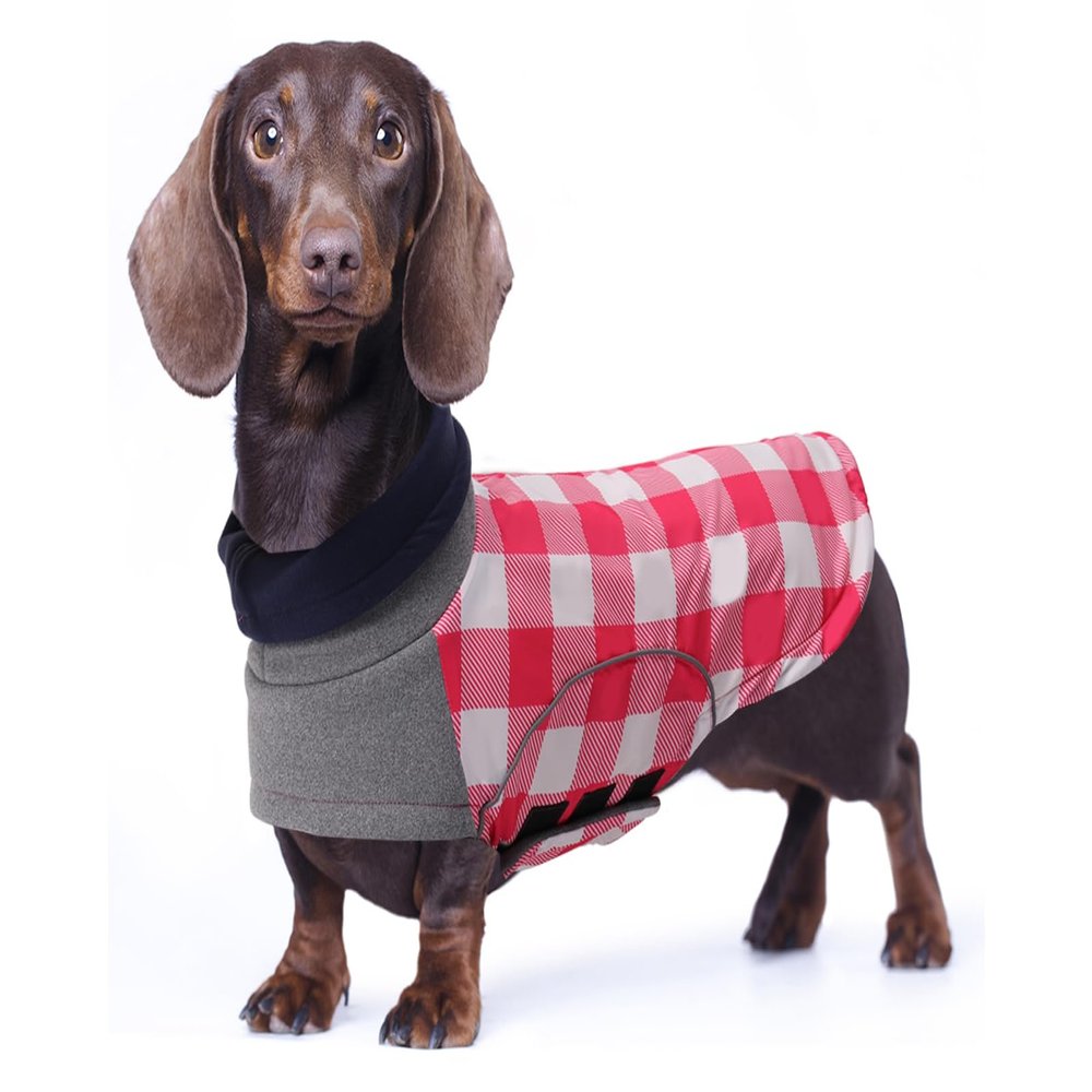 Babepet Waterproof Winter Coat for Small Dogs