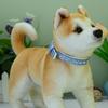 Newtensina Fashion Dog Collar for Puppies with Diamonds view 3