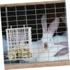 Hanging Rabbit Feeder for Cage, Iron, White view 2