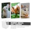 Hanging Rabbit Feeder for Cage, Iron, White view 4