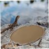 CORHAD 2-Piece Brown Resin Reptile Water Bowls, Large Capacity for Geckos, Turtles and Other Reptiles view 2