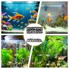 Betta Tunnel Swim Tube with Suction Cups view 4