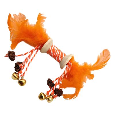 Catnip Chew Toy with Bell and Colorful Feathers