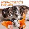 Catnip Chew Toy with Bell and Colorful Feathers view 3
