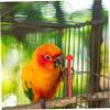 Hohopeti Plastic Perch Holder - 10 Pack view 2
