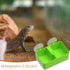 JINGLING Reptile Food and Water Bowl view 2